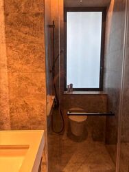 Cuscaden Reserve (D10), Condominium #608125941